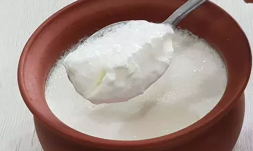 Curd, yogurt eating, yogurt, cholesterol, Lifestyle