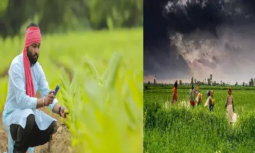 farmers,  weather report,  DAMUS,