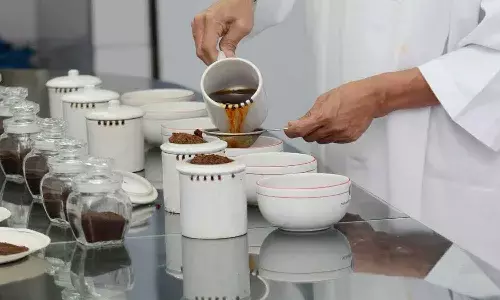 టీ లో కల్తీని గుర్తించటం ఎలా..? ప్రతి ఒక్కరు తెలుసుకోవలసిన అంశాలు