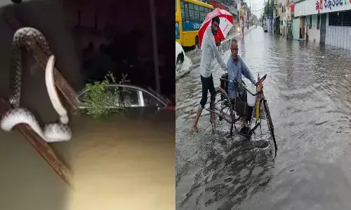 జలదిగ్భందంలో మణుగూరు.. వరదలో విషసర్పాలు..భయం భయం