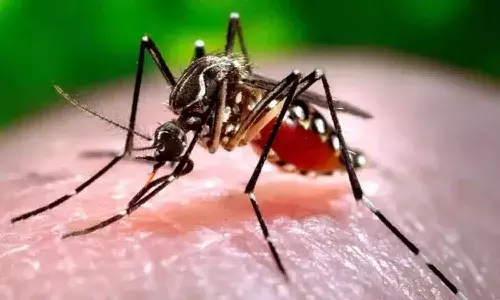 తెలంగాణలో మొదలైన డెంగ్యూ టెన్షన్