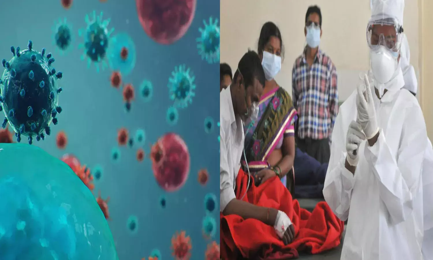 తెలంగాణలో చాలా ఏళ్ల తర్వాత స్వైన్‌ఫ్లై కేసుల కలకలం