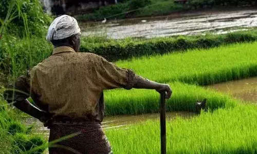 Central govt, Aadhaar like digital IDs, farmers, National news