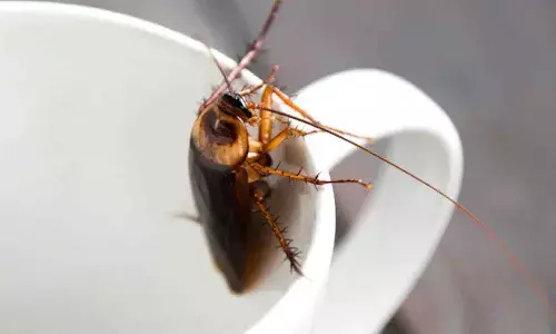 నిద్రిస్తున్న వ్య‌క్తి ముక్కులోంచి శ్వాసనాళంలోకి ప్రవేశించిన బొద్దింక.. ఆ త‌ర్వాత‌