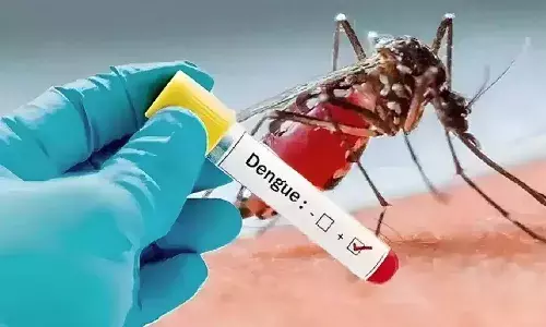 హెల్త్ అలర్ట్: హైదరాబాద్, సూర్యాపేట, ఖమ్మం, వరంగల్లో డెంగ్యూ, చికున్గున్యా ముప్పు