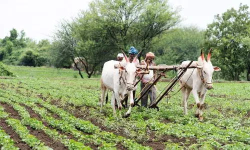Telangana: రైతు రుణమాఫీ కాలేదా..? అయితే ఒక సెల్ఫీ ఫొటో దిగాలి..