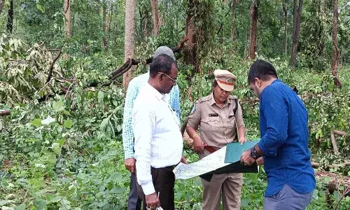 మేడారం అడవుల్లో 50వేల చెట్లు ధ్వంసమైన ఘటన.. జంతువులు విపత్తును పసిగట్టాయా?