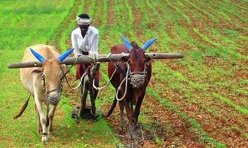 Rythu Bharosa, farmers, Dussehra festival, Telangana