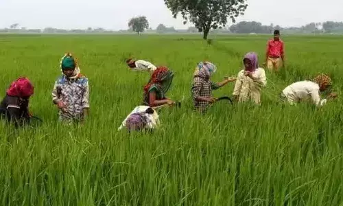రైతుల ఖాతాల్లో రైతుభరోసా నిధుల జమకు డేట్ ఫిక్స్!