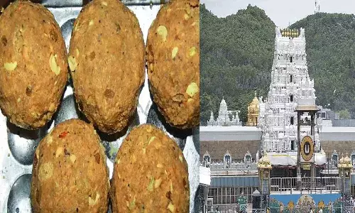 తిరుమల లడ్డు కల్తీ వివాదంపై టీటీడీ కీలక నిర్ణయం