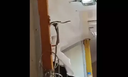 viral video, Snake In A Train, Mumbai, Passengers, Garib Rath Express