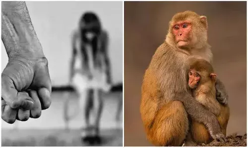 ఆరేళ్ల చిన్నారిపై అత్యాచారం చేయబోయిన కామాంధుడు.. కాపాడిన కోతులు