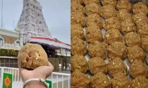 లడ్డు విక్రయాలపై లేని కల్తీ వివాదం.. భక్తులు ఎన్ని కొన్నారంటే..