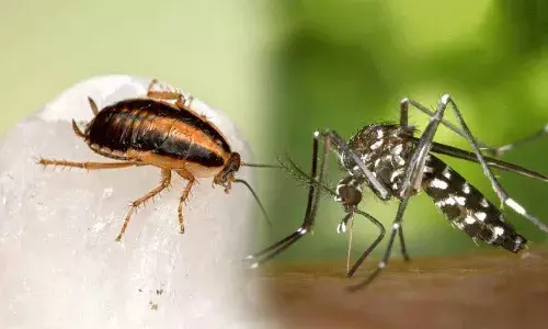 2-ఇన్-1 స్ప్రేతో దోమలు, బొద్దింకల నుంచి రక్షణ కల్పిస్తున్న మార్టిన్