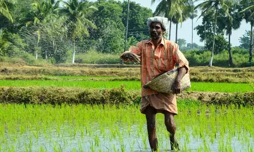 Andhrapradesh, farmers, E-Crop registration
