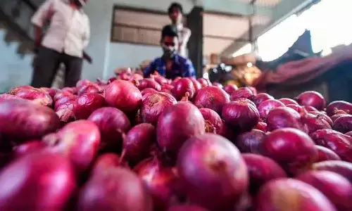 Onion Price : కోసేట‌ప్పుడు కాదు.. కొనేట‌ప్పుడే క‌న్నీరు పెట్టిస్తున్న ఉల్లి