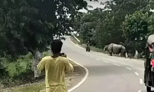 Viral Video : బైకర్ ను అత్యంత దారుణంగా చంపేసిన ఖడ్గమృగం