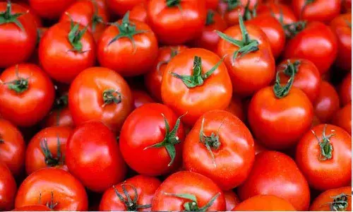 సెంచరీకి చేరువలో టమాటా ధర.!