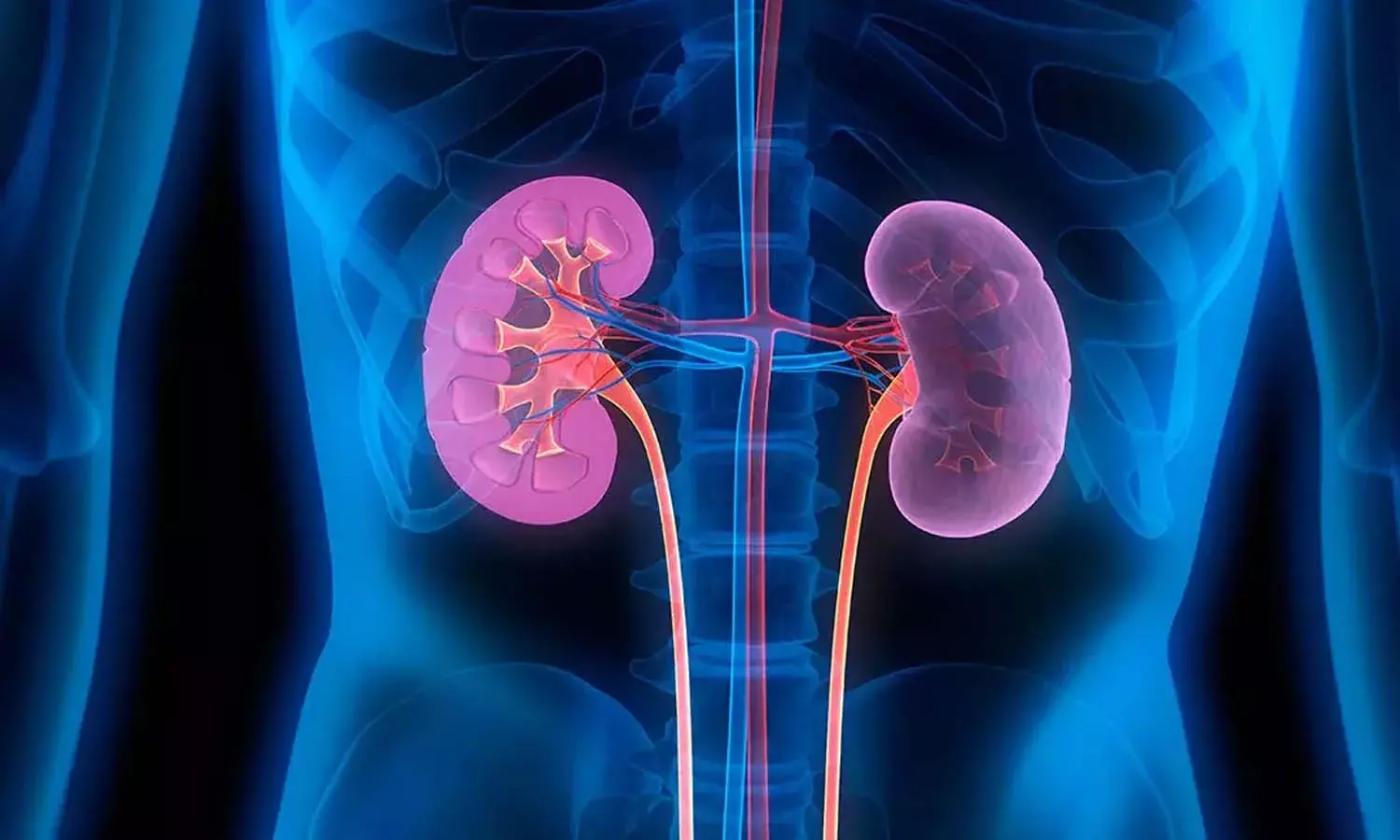4-year-old child, kidney disease, South India