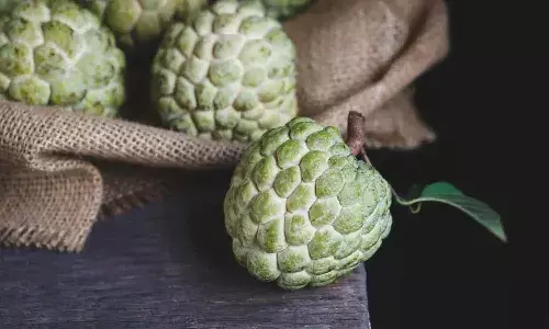 custard apple benefits, custard apple, Lifestyle
