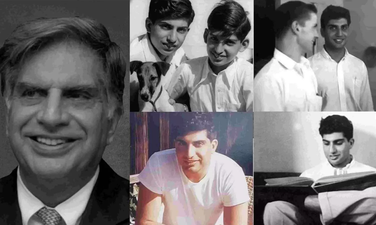 Google searches, Ratan Tata, Google trends Google searches, Ratan Tata, Google trends
