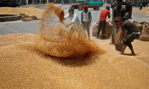 Telangana, Telangana government, Kharif , grain collection, CM Revanth
