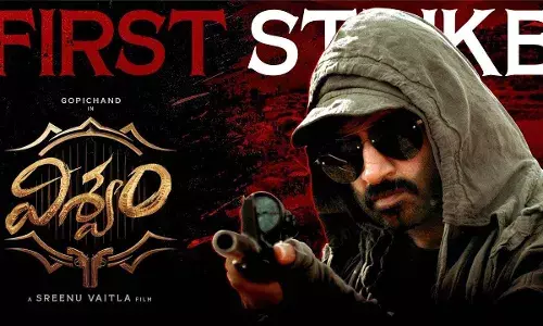 విశ్వం సినిమాతో శ్రీను వైట్ల దర్శకుడిగా రీఎంట్రీ..