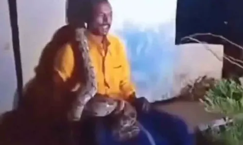 Viral Video : ఒంటి మీద కొండచిలువ పాకుతున్నా దర్జాగా ఉన్న మందుబాబు..!