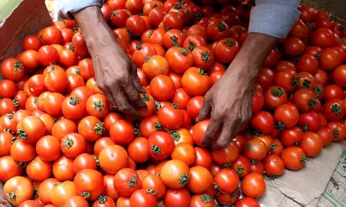 Local circles, Tomato prices, Vegetable prices