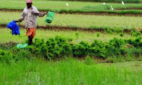 AP farmers, Agriculture department, crop insurance, compensation