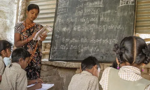 AP Government, teachers, guide, students, government schools