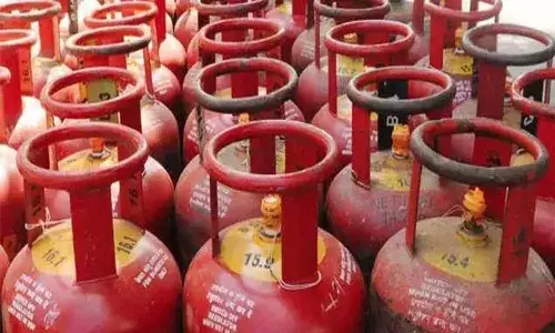 Andhra Pradesh government, free cylinder scheme, APnews