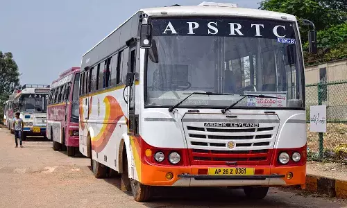 CM Chandra babu, Free Bus, Sankranti, APnews