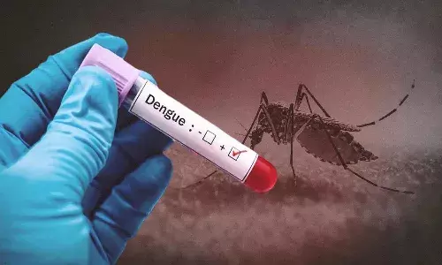 Dengue Cases : రాజధానిలో డెంగ్యూ భీభత్సం.. నాలుగు వేలు దాటిన కేసులు