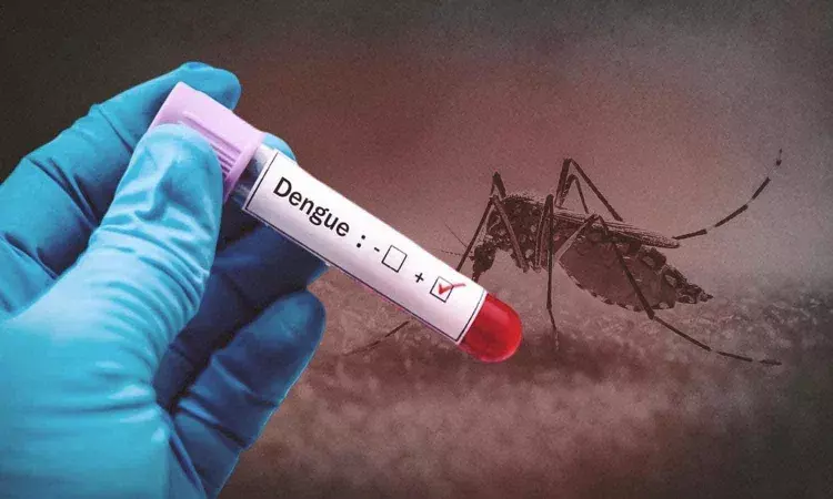 Dengue Cases : రాజధానిలో డెంగ్యూ భీభత్సం.. నాలుగు వేలు దాటిన కేసులు
