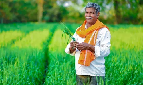 Agriculture Minister, Tummala Nageswara Rao, farmers, loans, Telangana