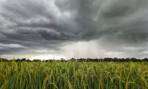 Disaster Management, heavy to moderate rains, Andhra Pradesh, weather
