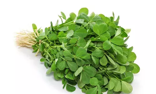 health benefits, fenugreek, winter