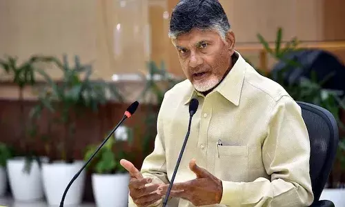 Andhra government, public welfare, AP development, Chandrababu Naidu