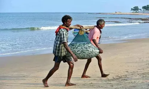 మత్స్యకారులకు ఏపీ ప్రభుత్వం గుడ్న్యూస్.. ఆ తేడా లేకుండా అందరికీ విద్యుత్ సబ్సిడీ