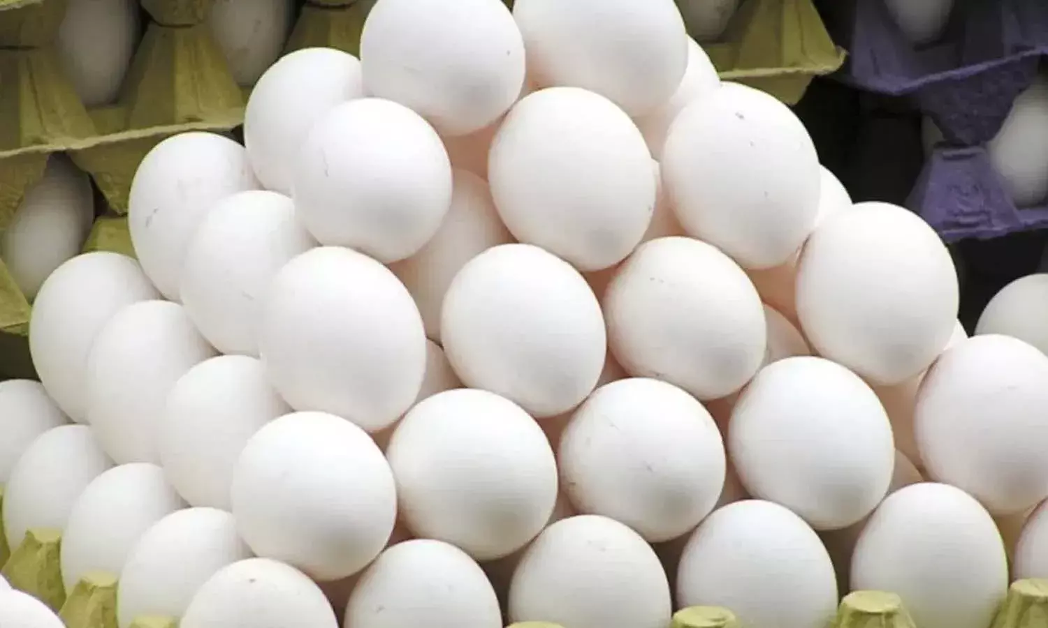 chicken eggs,  egg price, NECC