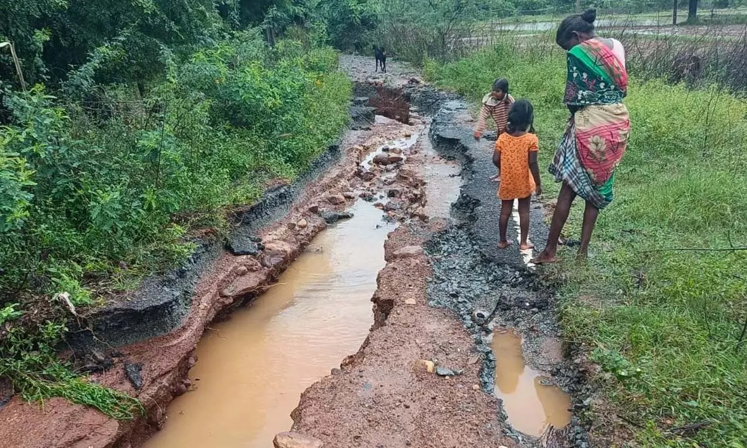 Cyclone Fengal, Rains, Disrupts Life, South AP