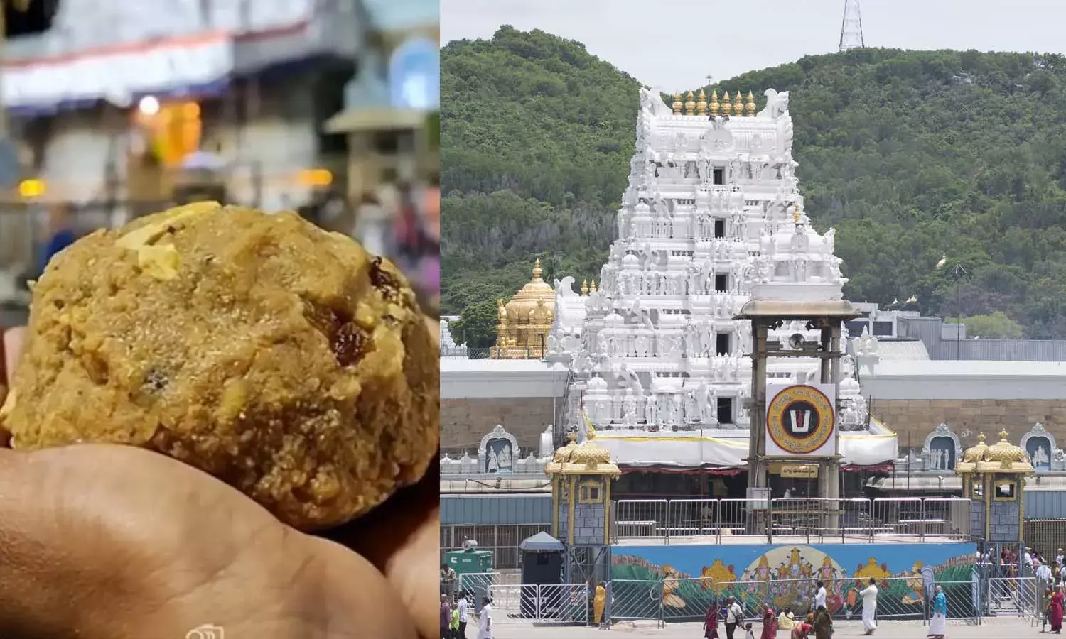 TTD, Tirumala, Srivari devotees, Laddus
