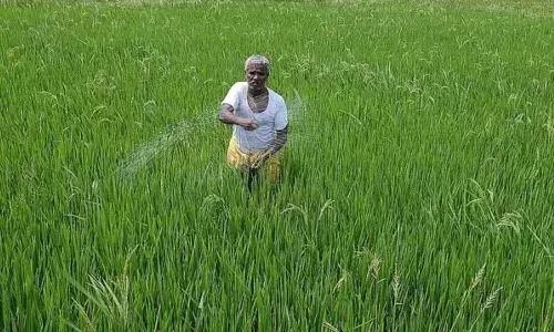 NABARD Chairman Shaji Krishnan, loans, farmers, APnews