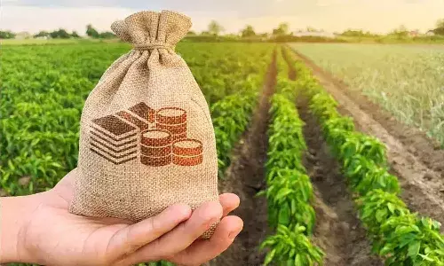 రైతులకు RBI గుడ్‌న్యూస్‌.. UPI ద్వారా ఎలాంటి తనఖా లేకుండా రూ.2 లక్షల రుణాలు