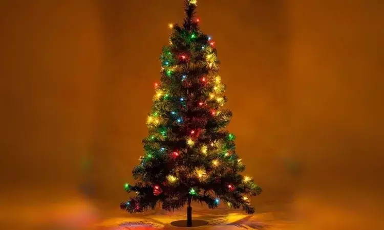 Christmas tree, Conifers, Christmas