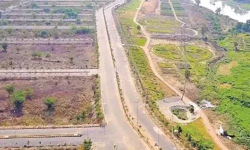 AP Govt, plots regularization, APnews