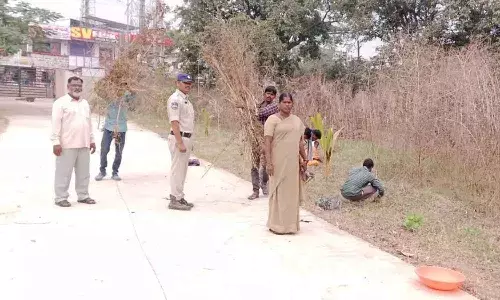 సమాజ సేవ చేయండి.. 11 మంది యువకులకు కోర్టు శిక్ష.. ఏం చేశారంటే..