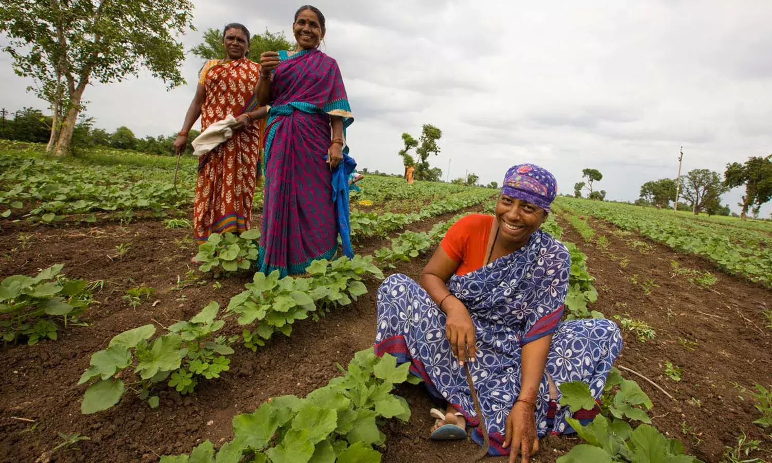 Telangana Government, Landless Agricultural Workers,  MGNREGA
