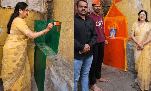 Saffron, green wall, Pune, BJP MP, political row